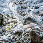 Thin swirling surface ice as spring thaw melts lake